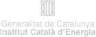 logo-ICAEN