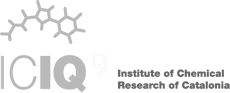 logo-iciq-2020.png