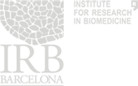 logo-irb.png
