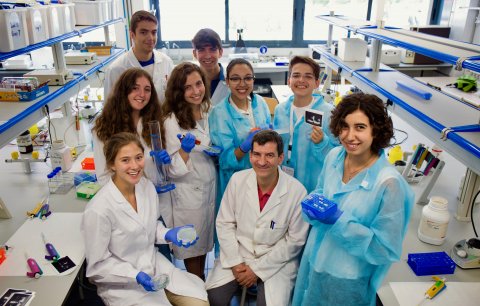 BIYSC Participants on a lab