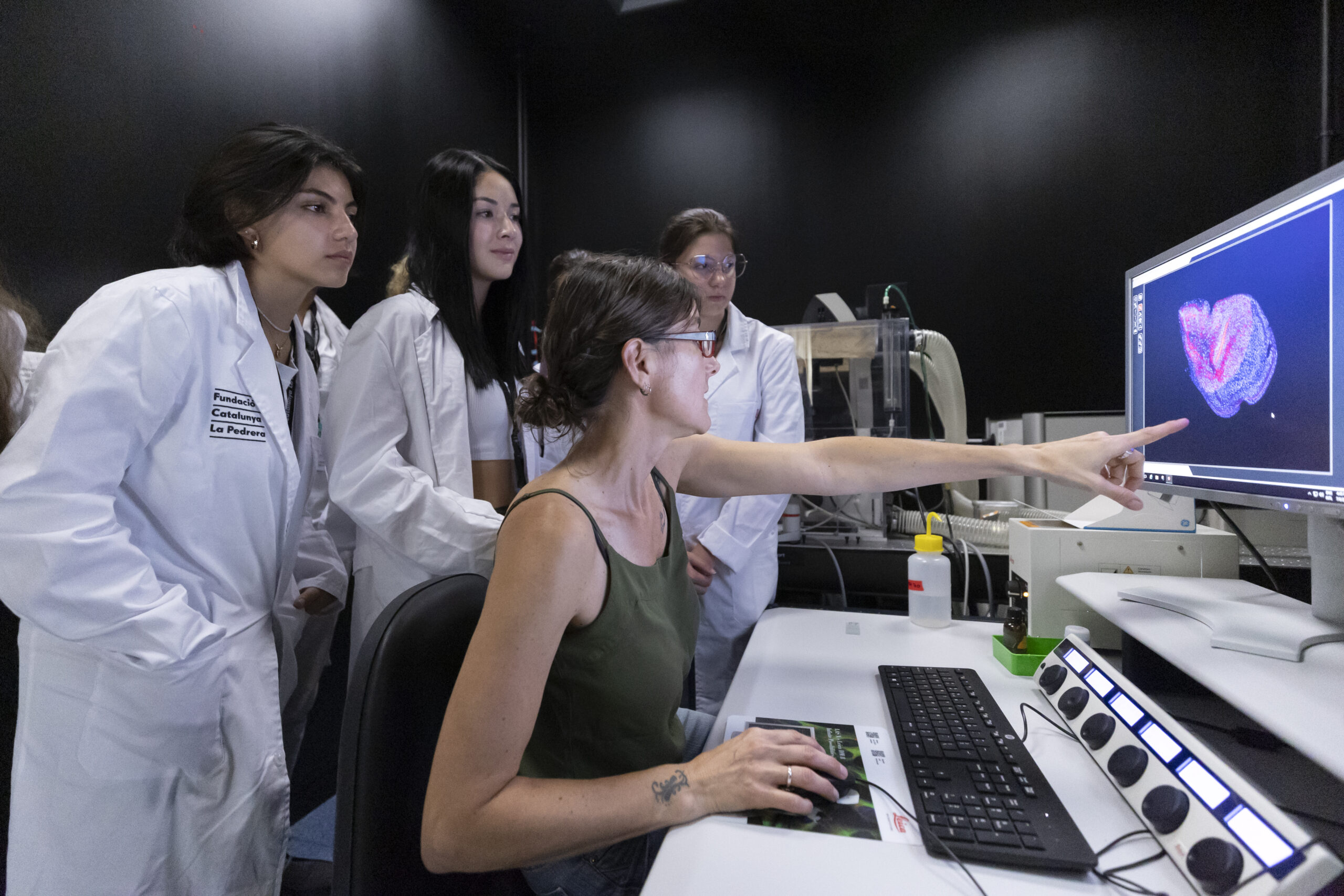 Unravelling tumorigenesis and its pathways with Drosophila as a model organism - I1A8680 - BIYSC