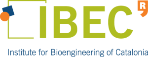 Institute for Bioengineering of Catalonia (IBEC) - Biysc Ibec Logo 2 - BIYSC