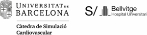 Cardiovascular Simulation Chair of the University of Barcelona and Bellvitge Hospital - 840a740f Ce92 456a Ad05 702199e2d582 - BIYSC